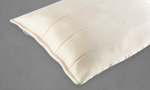 Tempur pillows