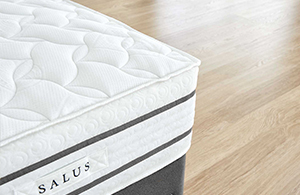 Sealy Brayton Mattress