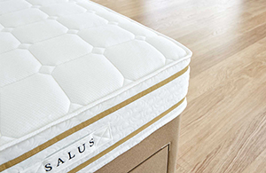 Sealy Brayton Mattress