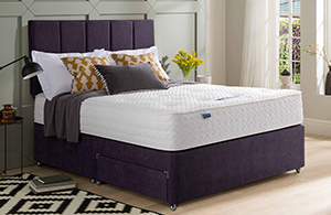 Sealy Solo Luxury Divan